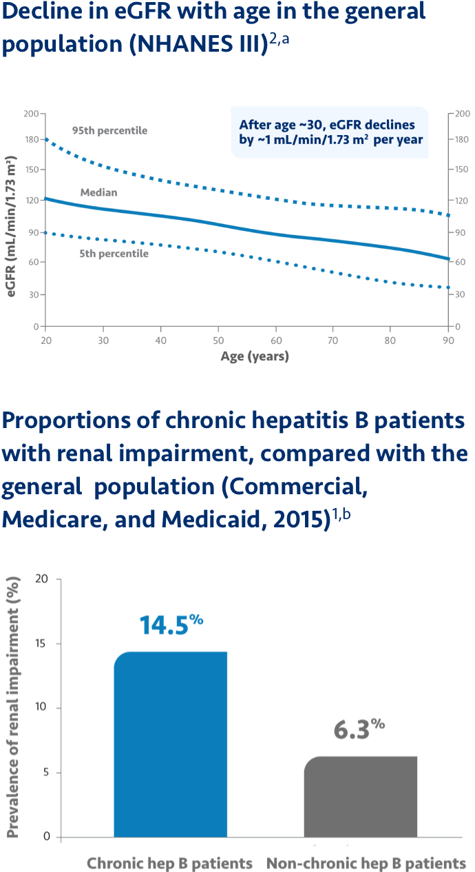 Renal risk factors diagram
