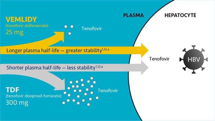 VEMLIDY® (tenofovir alafenamide) mechanism of action (MOA) image. See Full Prescribing Info, including BOXED WARNING