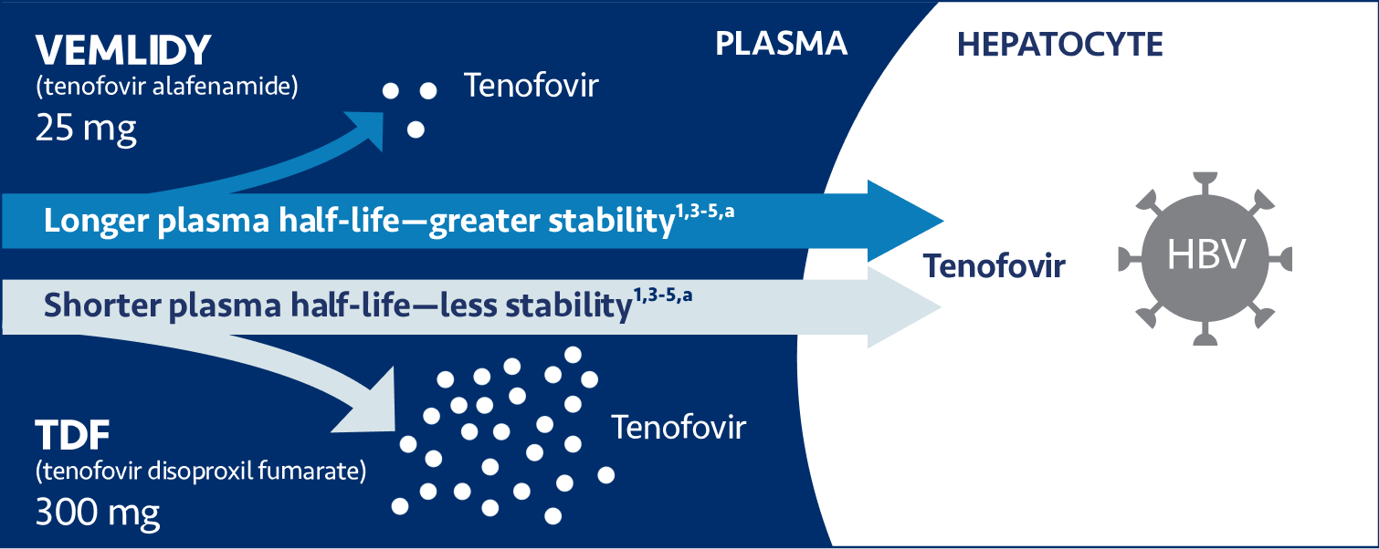VEMLIDY mechanism of action (MOA) image